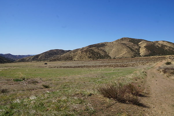 Firestone.Ranch.FIeld.111