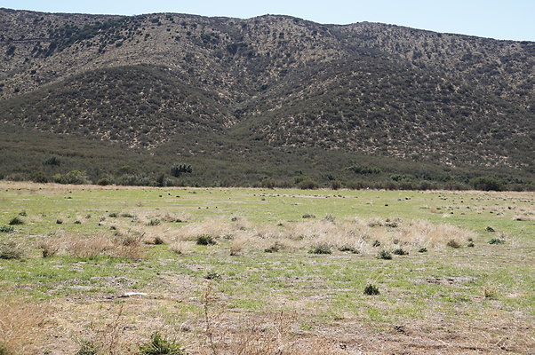 Firestone.Ranch.FIeld.121