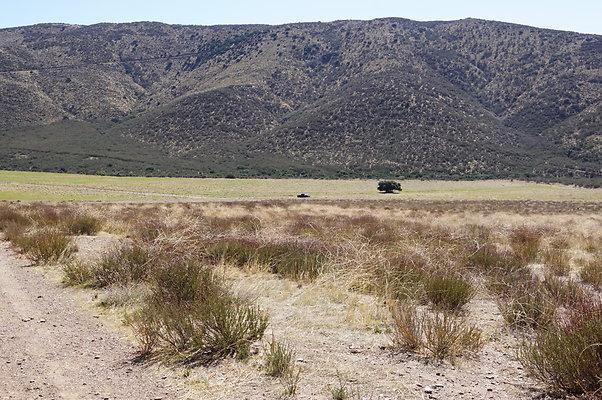 Firestone.Ranch.FIeld.83