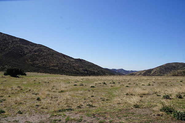 Firestone.Ranch.FIeld.07