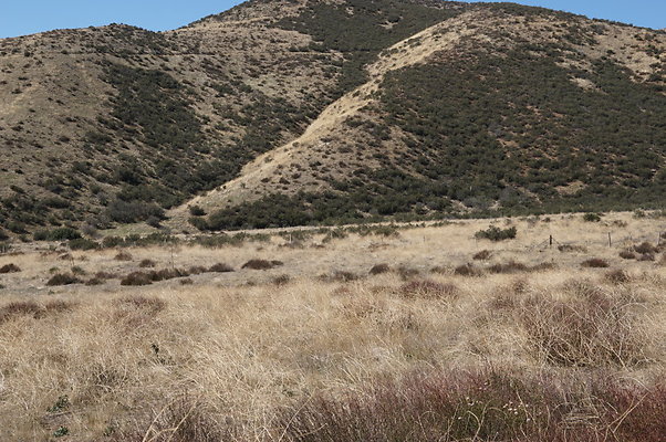 Firestone.Ranch.FIeld.86