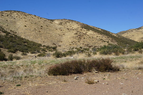 Firestone.Ranch.FIeld.36