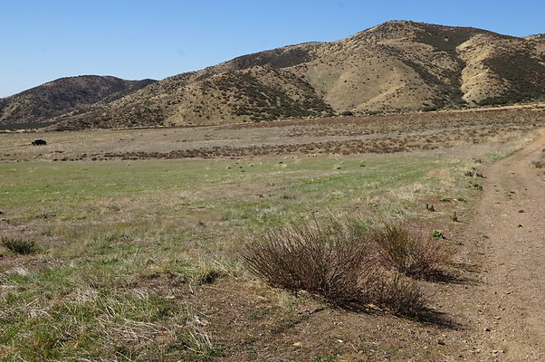 Firestone.Ranch.FIeld.117