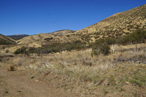 Firestone.Ranch.FIeld.113