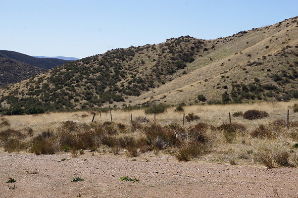Firestone.Ranch.FIeld.74