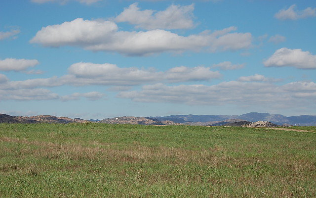 DSC 0112