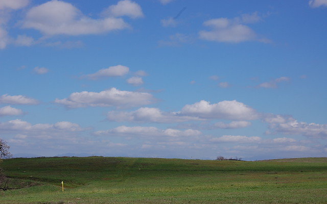 DSC 0100