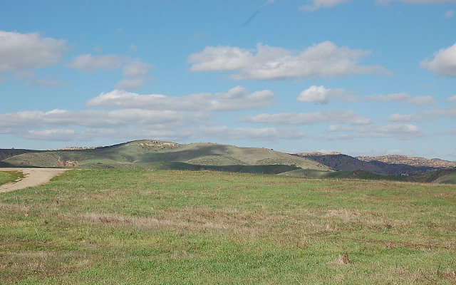 DSC 0118