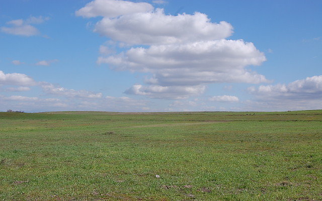 DSC 0105