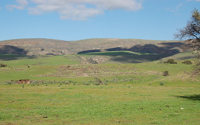DSC 0098