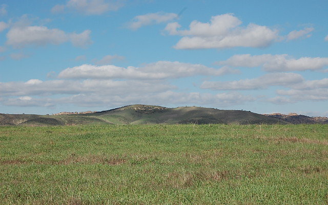 DSC 0111
