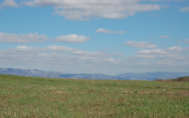 DSC 0113