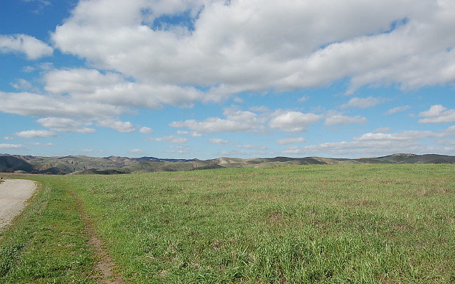 DSC 0107