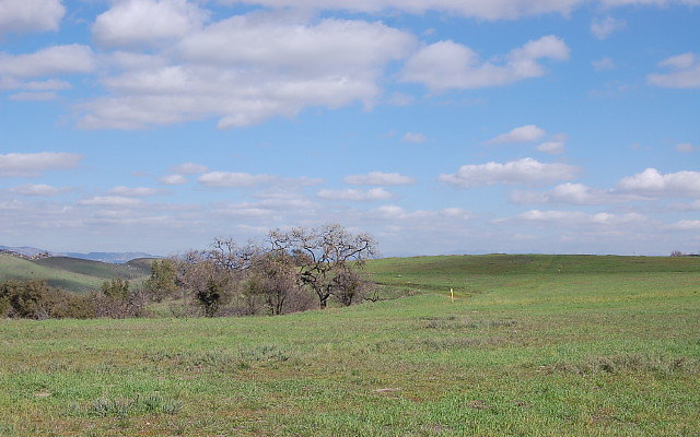 DSC 0104