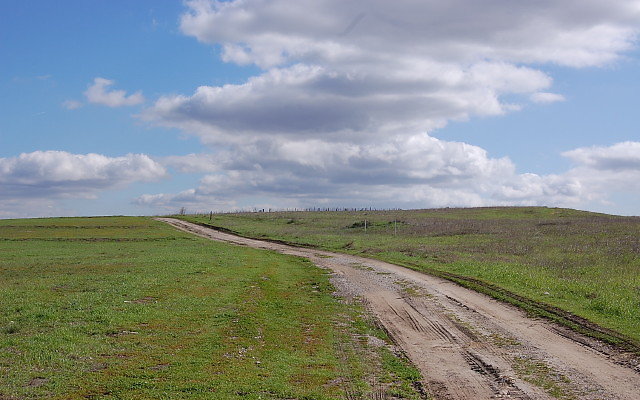 DSC 0106