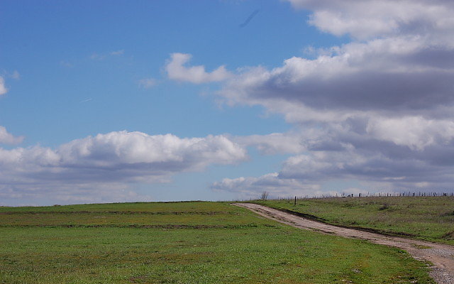 DSC 0102