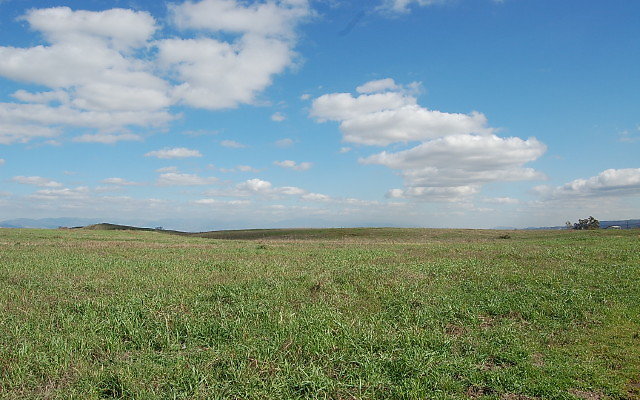 DSC 0109