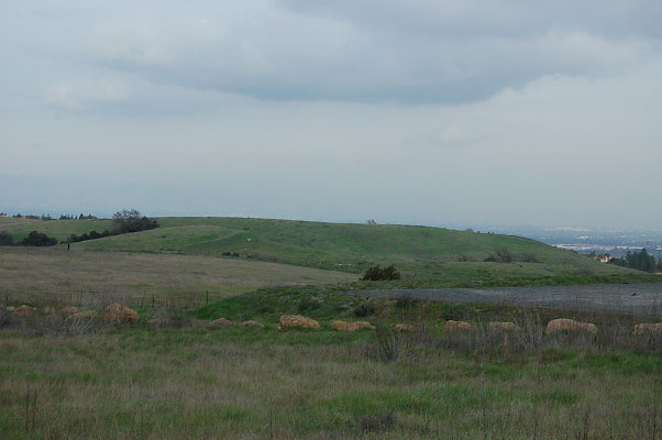 DSC 0222