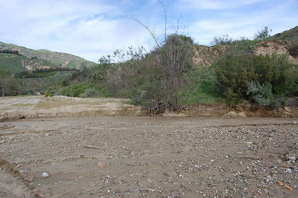 DSC 0177