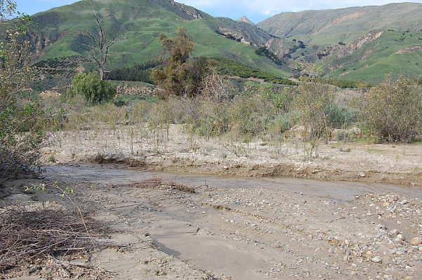 DSC 0166
