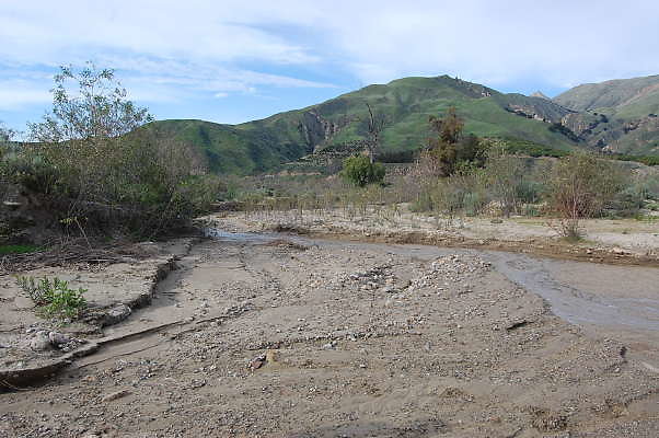 DSC 0172