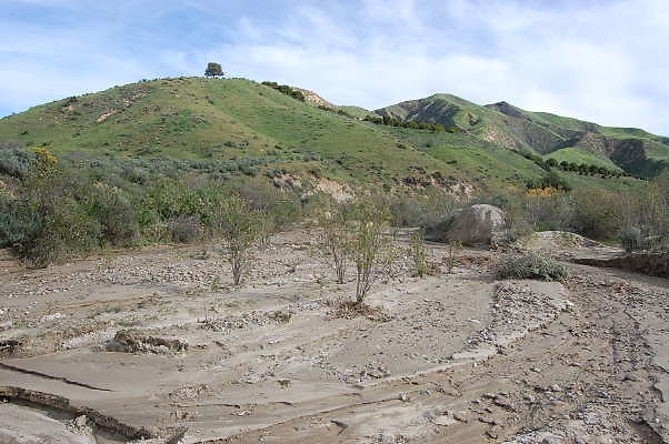 DSC 0171