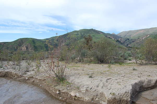 DSC 0178