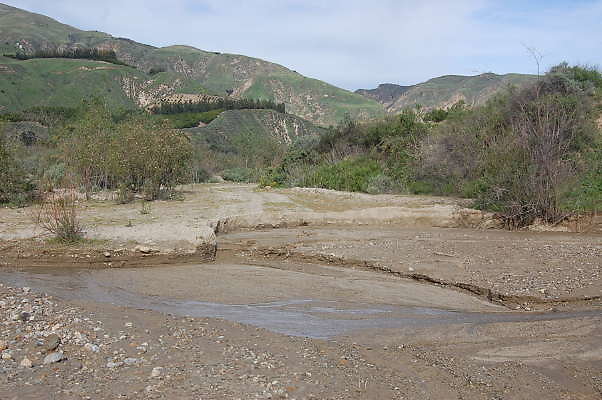 DSC 0167