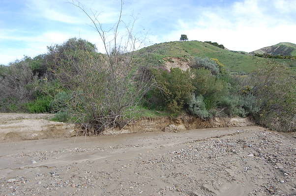 DSC 0180