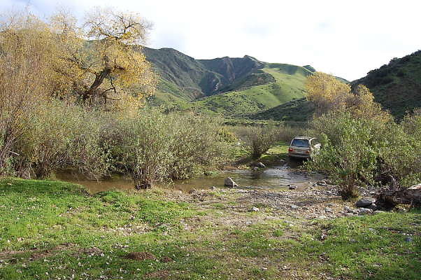 DSC 0060