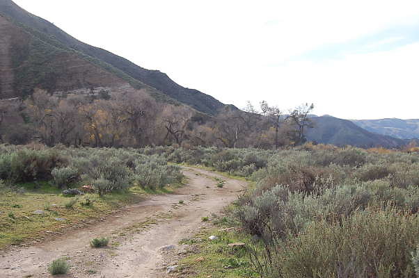 Rancho Temescal.Piru.Raod To Cottonwood Trees
