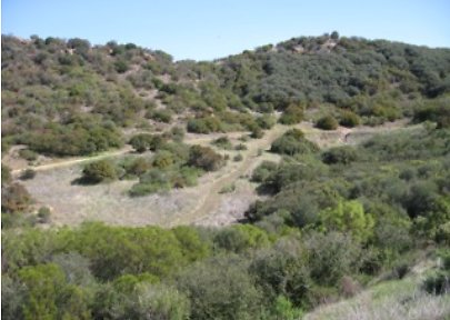 Canyon.Ranch.Roads22