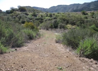 Canyon.Ranch.Roads19