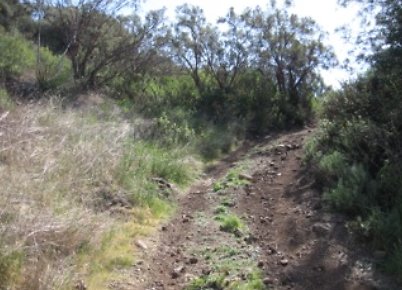 Canyon.Ranch.Roads20