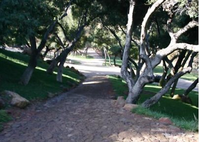 Canyon.Ranch.Roads07