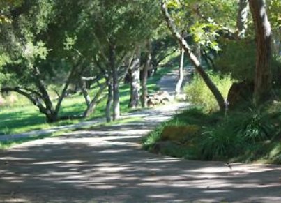 Canyon.Ranch.Roads08