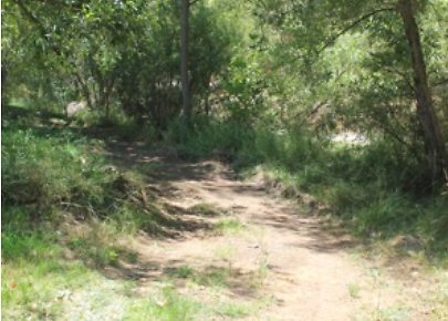 Canyon.Ranch.Roads11