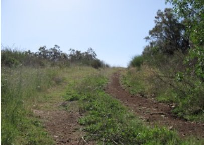 Canyon.Ranch.Roads21