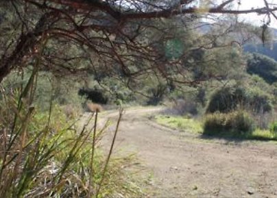 Canyon.Ranch.Roads16