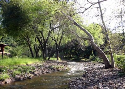 Canyon.Ranch.Creek14