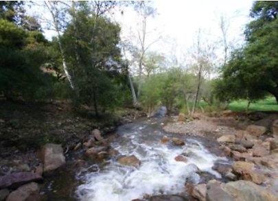 Canyon.Ranch.Creek01