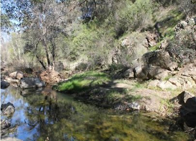 Canyon.Ranch.Creek09