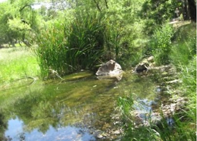 Canyon.Ranch.Creek23