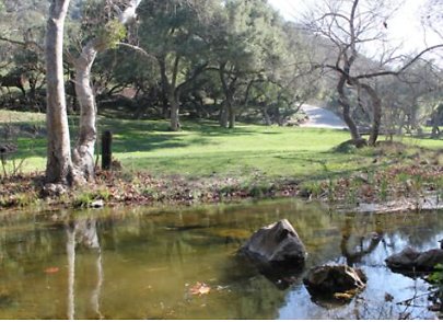 Canyon.Ranch.Creek13