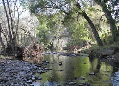 Canyon.Ranch.Creek10