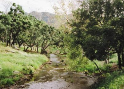 Canyon.Ranch.Creek15