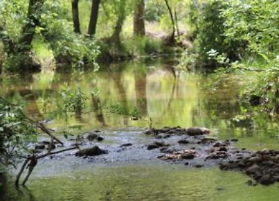 Canyon.Ranch.Creek17