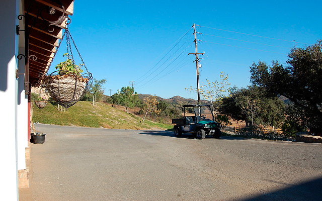 DSC 0226a