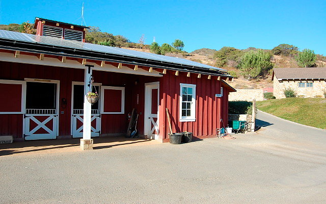 DSC 0226