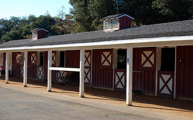 DSC 0235